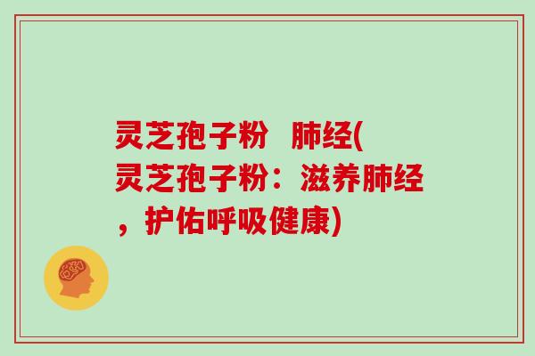 灵芝孢子粉  肺经(灵芝孢子粉：滋养肺经，护佑呼吸健康)