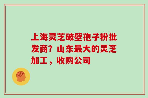 上海灵芝破壁孢子粉批发商？山东最大的灵芝加工，收购公司