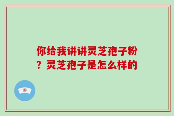 你给我讲讲灵芝孢子粉？灵芝孢子是怎么样的