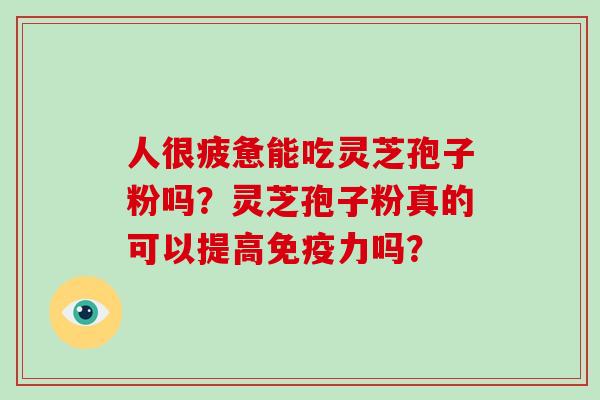 人很疲惫能吃灵芝孢子粉吗？灵芝孢子粉真的可以提高免疫力吗？