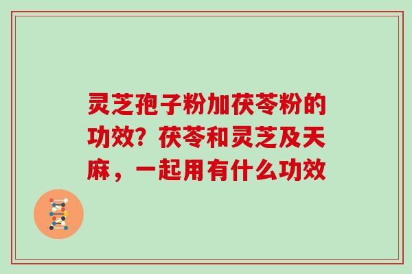 灵芝孢子粉加茯苓粉的功效？茯苓和灵芝及天麻，一起用有什么功效