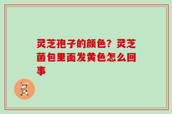 灵芝孢子的颜色？灵芝菌包里面发黄色怎么回事