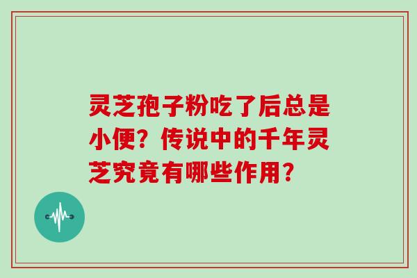 灵芝孢子粉吃了后总是小便？传说中的千年灵芝究竟有哪些作用？