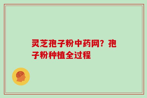 灵芝孢子粉中药网？孢子粉种植全过程