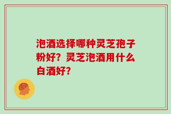 泡酒选择哪种灵芝孢子粉好？灵芝泡酒用什么白酒好？