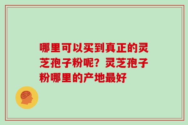 哪里可以买到真正的灵芝孢子粉呢？灵芝孢子粉哪里的产地最好