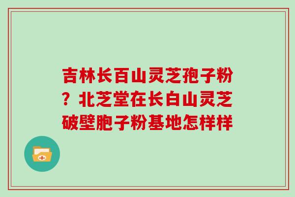 吉林长百山灵芝孢子粉？北芝堂在长白山灵芝破壁胞子粉基地怎样样