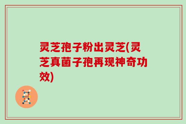 灵芝孢子粉出灵芝(灵芝真菌子孢再现神奇功效)-第1张图片-灵芝大师 灵芝孢子粉出灵芝(灵芝真菌子孢再现神奇功效)-第1张图片-灵芝大师