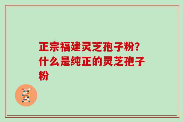 正宗福建灵芝孢子粉？什么是纯正的灵芝孢子粉