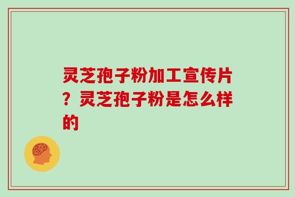 灵芝孢子粉加工宣传片？灵芝孢子粉是怎么样的