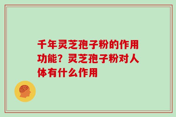 千年灵芝孢子粉的作用功能？灵芝孢子粉对人体有什么作用