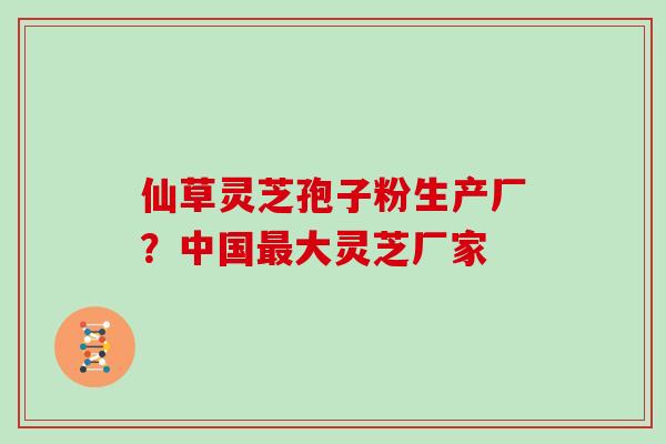 仙草灵芝孢子粉生产厂？中国最大灵芝厂家