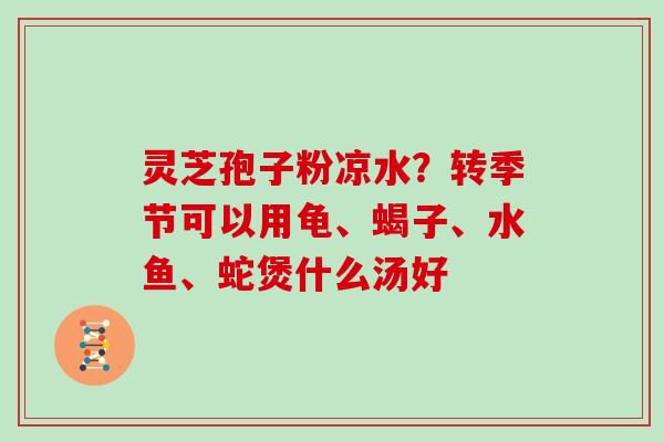 灵芝孢子粉凉水？转季节可以用龟、蝎子、水鱼、蛇煲什么汤好