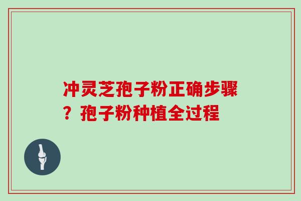 冲灵芝孢子粉正确步骤？孢子粉种植全过程