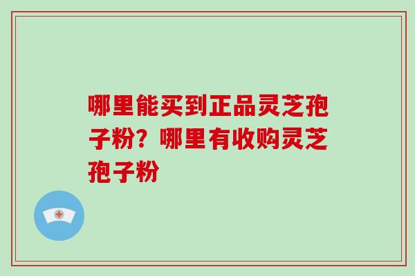 哪里能买到正品灵芝孢子粉？哪里有收购灵芝孢子粉