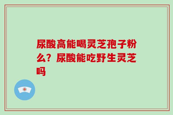 尿酸高能喝灵芝孢子粉么？尿酸能吃野生灵芝吗