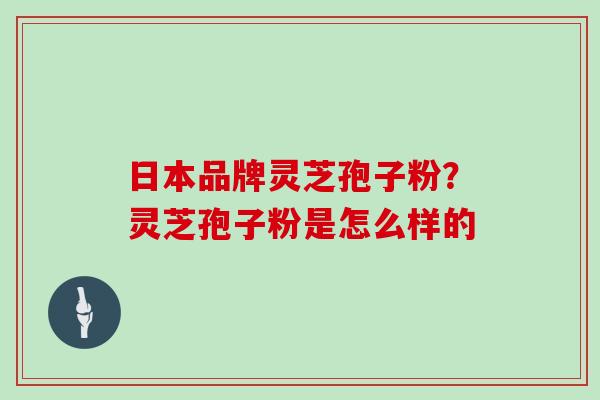 日本品牌灵芝孢子粉？灵芝孢子粉是怎么样的