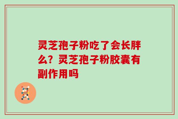 灵芝孢子粉吃了会长胖么？灵芝孢子粉胶囊有副作用吗-第1张图片-灵芝大师