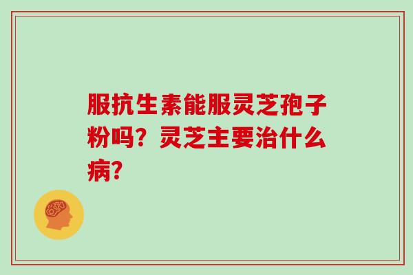 服抗生素能服灵芝孢子粉吗？灵芝主要治什么病？