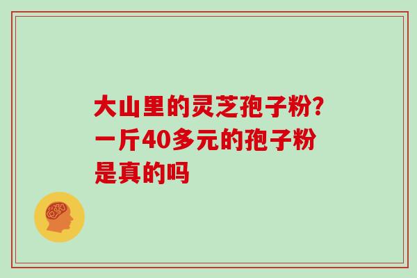 大山里的灵芝孢子粉？一斤40多元的孢子粉是真的吗