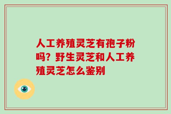 人工养殖灵芝有孢子粉吗？野生灵芝和人工养殖灵芝怎么鉴别