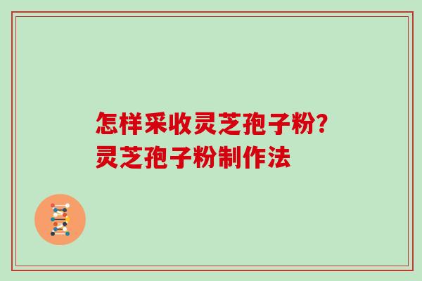 怎样采收灵芝孢子粉？灵芝孢子粉制作法