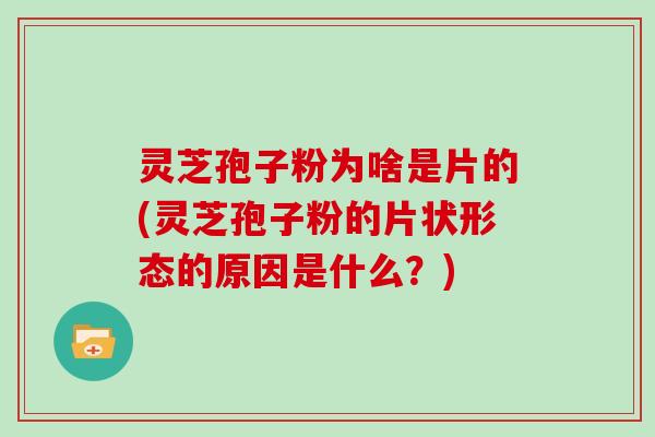 灵芝孢子粉为啥是片的(灵芝孢子粉的片状形态的原因是什么？)