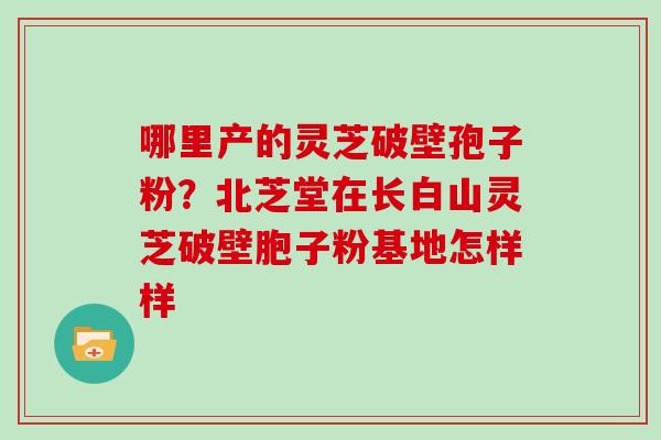 哪里产的灵芝破壁孢子粉？北芝堂在长白山灵芝破壁胞子粉基地怎样样