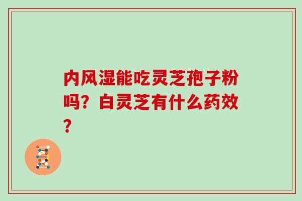 内风湿能吃灵芝孢子粉吗?白灵芝有什么药效?-第1张图片-灵芝大师 内风湿能吃灵芝孢子粉吗?白灵芝有什么药效?-第1张图片-灵芝大师