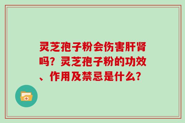 灵芝孢子粉会伤害肝肾吗？灵芝孢子粉的功效、作用及禁忌是什么？