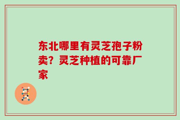 东北哪里有灵芝孢子粉卖？灵芝种植的可靠厂家