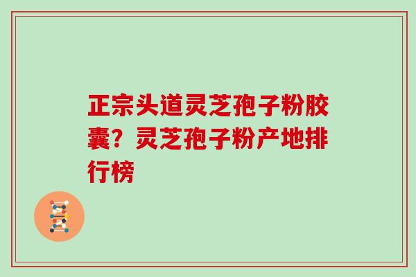 正宗头道灵芝孢子粉胶囊？灵芝孢子粉产地排行榜
