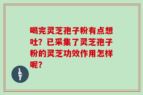 喝完灵芝孢子粉有点想吐？已采集了灵芝孢子粉的灵芝功效作用怎样呢？