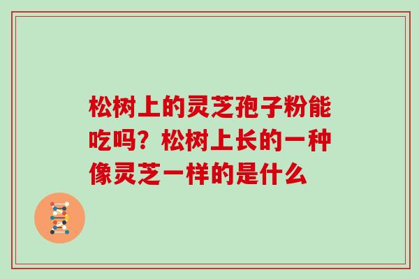 松树上的灵芝孢子粉能吃吗？松树上长的一种像灵芝一样的是什么