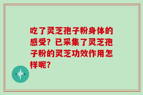吃了灵芝孢子粉身体的感受？已采集了灵芝孢子粉的灵芝功效作用怎样呢？