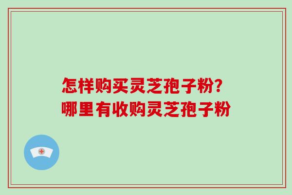 怎样购买灵芝孢子粉？哪里有收购灵芝孢子粉