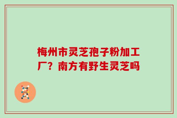 梅州市灵芝孢子粉加工厂？南方有野生灵芝吗