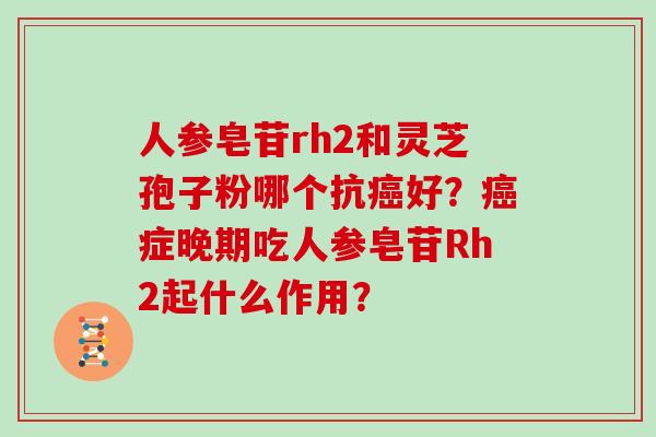 人参皂苷rh2和灵芝孢子粉哪个抗癌好？癌症晚期吃人参皂苷Rh2起什么作用？