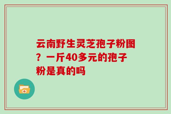 云南野生灵芝孢子粉图？一斤40多元的孢子粉是真的吗
