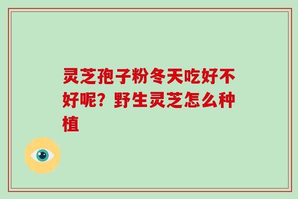 灵芝孢子粉冬天吃好不好呢?野生灵芝怎么种植-第1张图片-灵芝大师 灵芝孢子粉冬天吃好不好呢?野生灵芝怎么种植-第1张图片-灵芝大师