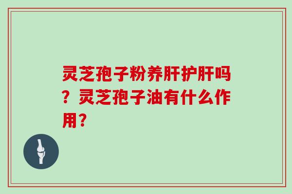 灵芝孢子粉养肝护肝吗？灵芝孢子油有什么作用？