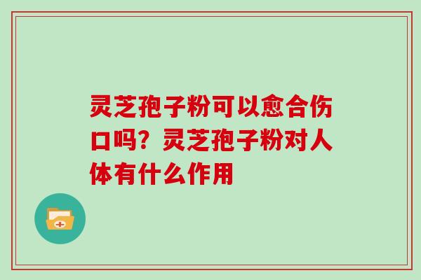 灵芝孢子粉可以愈合伤口吗？灵芝孢子粉对人体有什么作用-第1张图片-灵芝大师