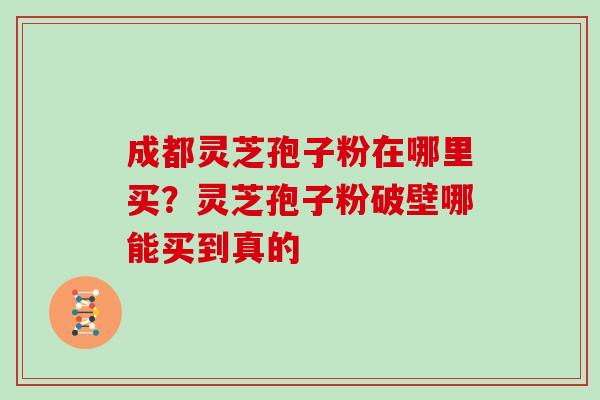 成都灵芝孢子粉在哪里买？灵芝孢子粉破壁哪能买到真的