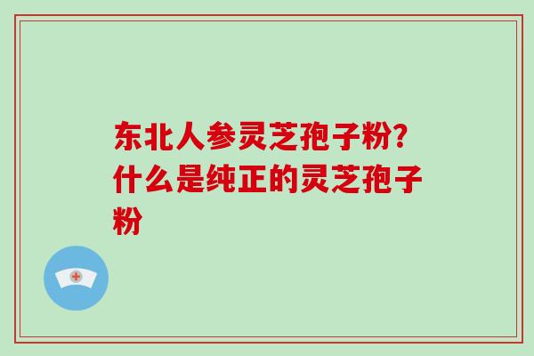 东北人参灵芝孢子粉？什么是纯正的灵芝孢子粉