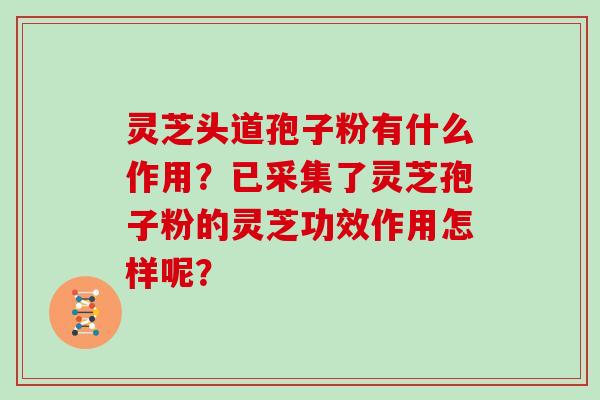 灵芝头道孢子粉有什么作用？已采集了灵芝孢子粉的灵芝功效作用怎样呢？