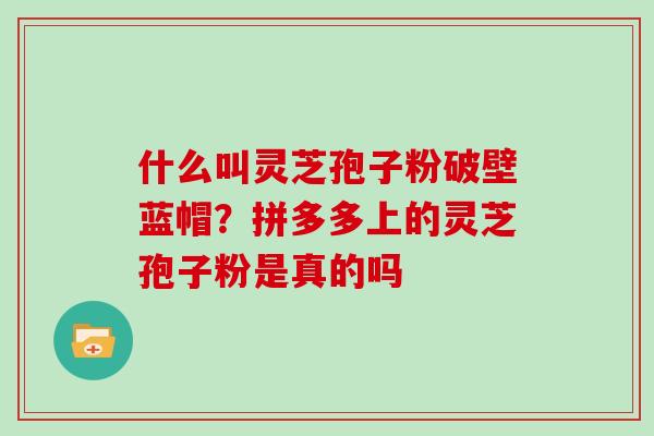 什么叫灵芝孢子粉破壁蓝帽？拼多多上的灵芝孢子粉是真的吗