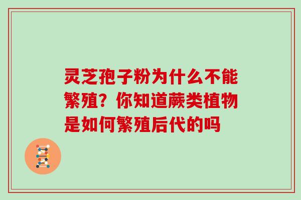 灵芝孢子粉为什么不能繁殖？你知道蕨类植物是如何繁殖后代的吗
