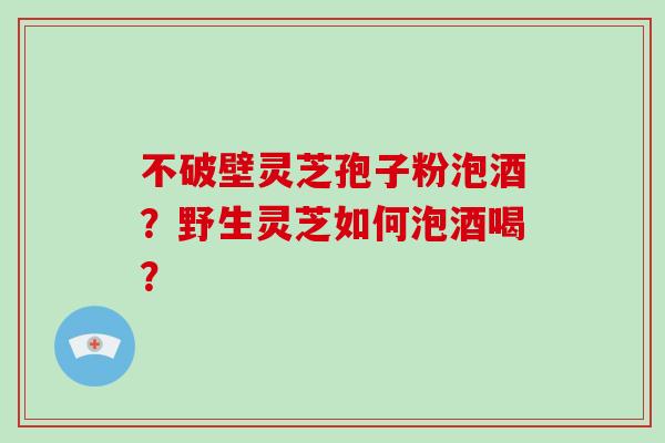 不破壁灵芝孢子粉泡酒？野生灵芝如何泡酒喝？