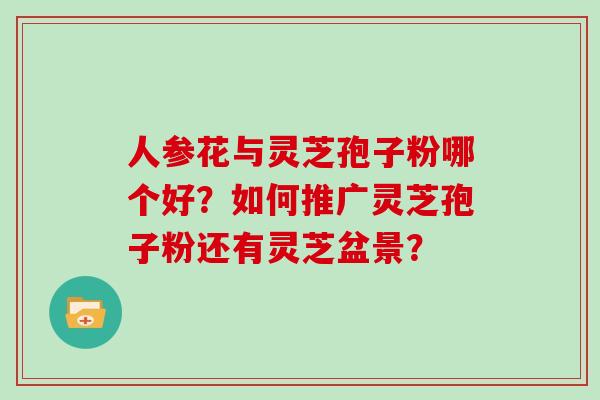 人参花与灵芝孢子粉哪个好？如何推广灵芝孢子粉还有灵芝盆景？