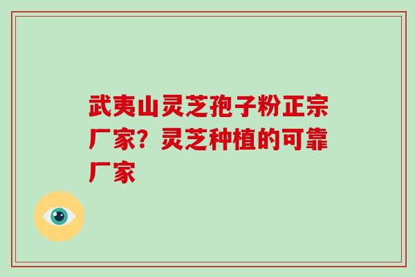 武夷山灵芝孢子粉正宗厂家？灵芝种植的可靠厂家
